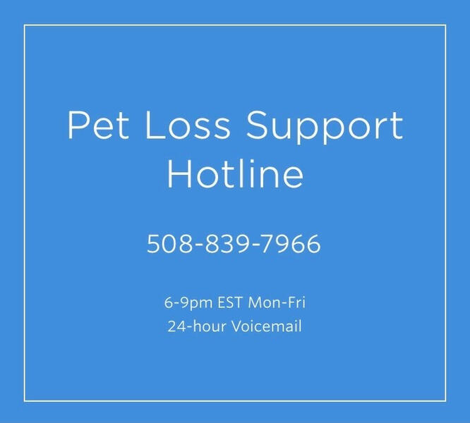 Pet Loss Support Line Pet Loss Support Line